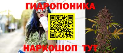 стаф Татарск